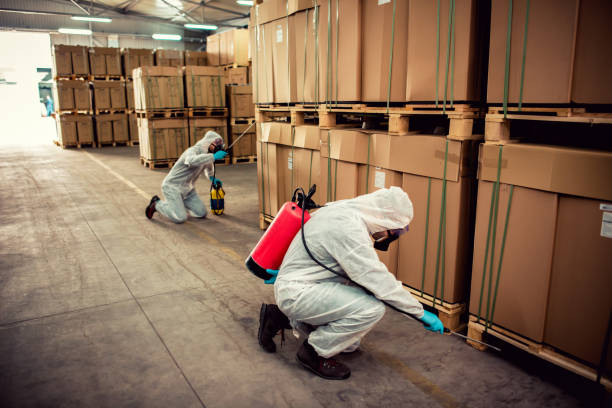 Reliable Towaco, NJ Pest Control Solutions
