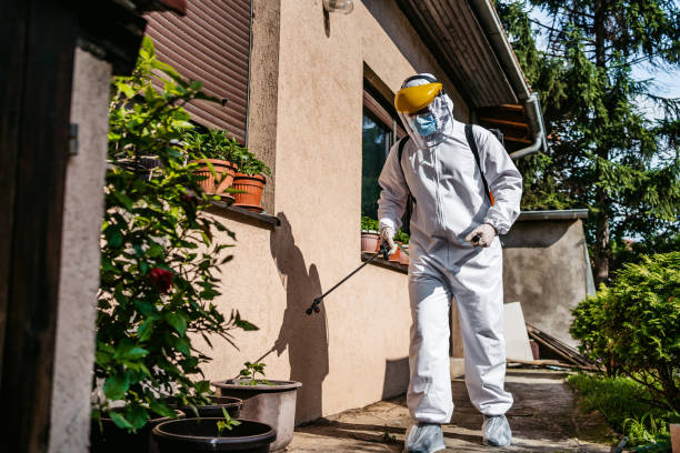 Best Cockroach Control Services  in Towaco, NJ