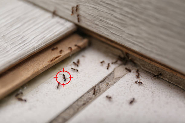 Best Commercial Pest Control Services  in Towaco, NJ