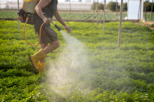 Best Pest Removal Services  in Towaco, NJ