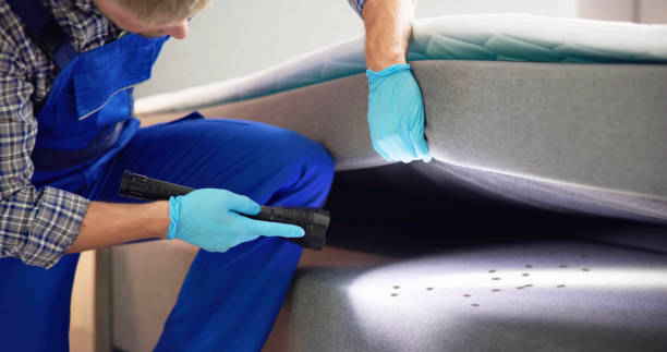 Best Mosquito Control Services  in Towaco, NJ