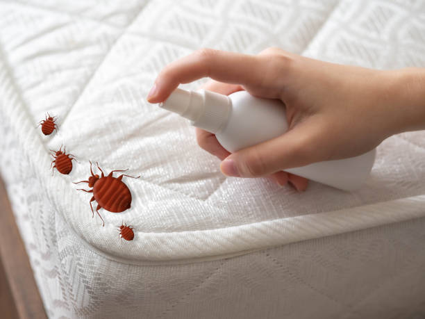 Best Commercial Pest Control Services  in Towaco, NJ